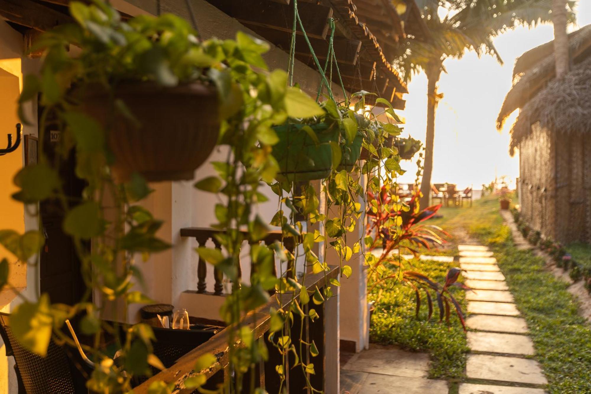 Forget Me Not Resort Agonda Bagian luar foto